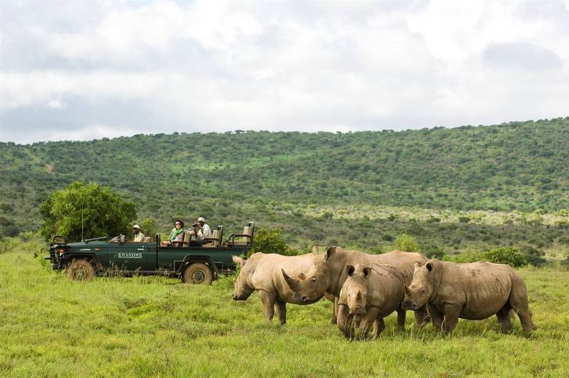 Kwandwe Private Game Reserve - Great Fish River Lodge Grahamstown Exterior foto