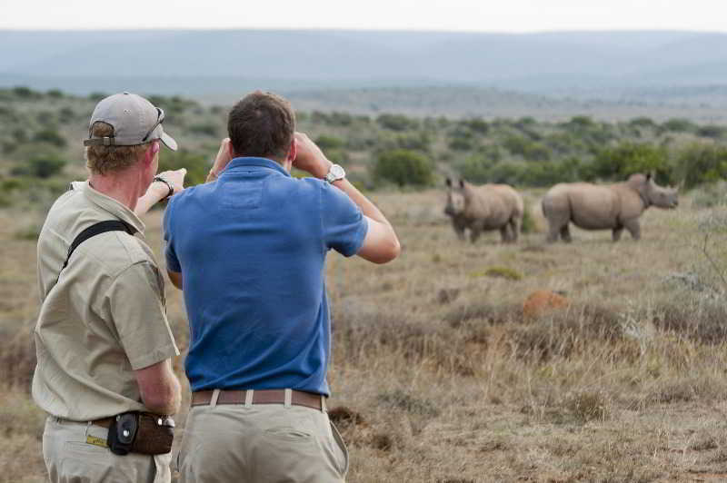 Kwandwe Private Game Reserve - Great Fish River Lodge Grahamstown Exterior foto